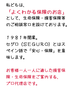 私どもは「よくわかる保険のお店」として、生命保険・損害保険等のご相談窓口を設けております。1981年開業。セグロ（SEGURO）とはスペイン語で「安心・保険」を意味します。お客様一人一人に適した損害保険・生命保険をご案内する、プロ代理店です。