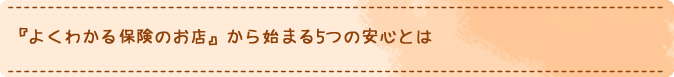 よくわかる保険のお店から始まる5つの安心とは