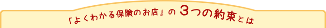 「よくわかる保険のお店」の３つの約束とは