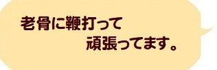 老骨に鞭打ってやってます